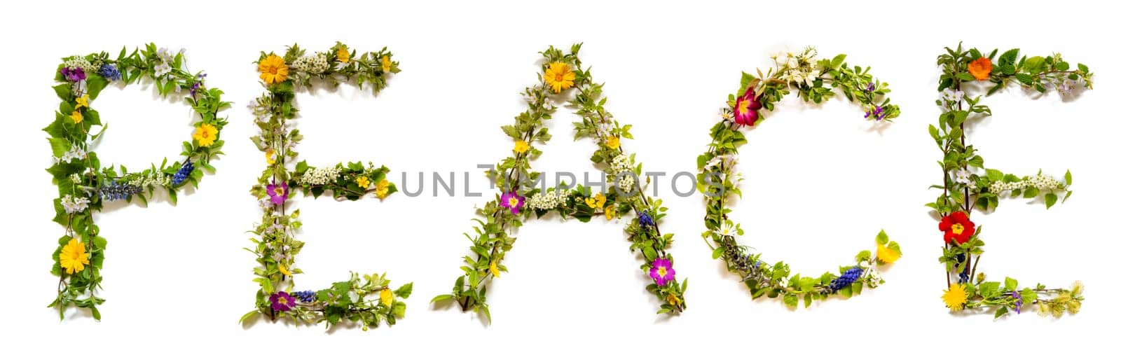 Blooming Flower Letters Building English Word Peace. Summer And Spring Season Blossoms And Flower Lei.