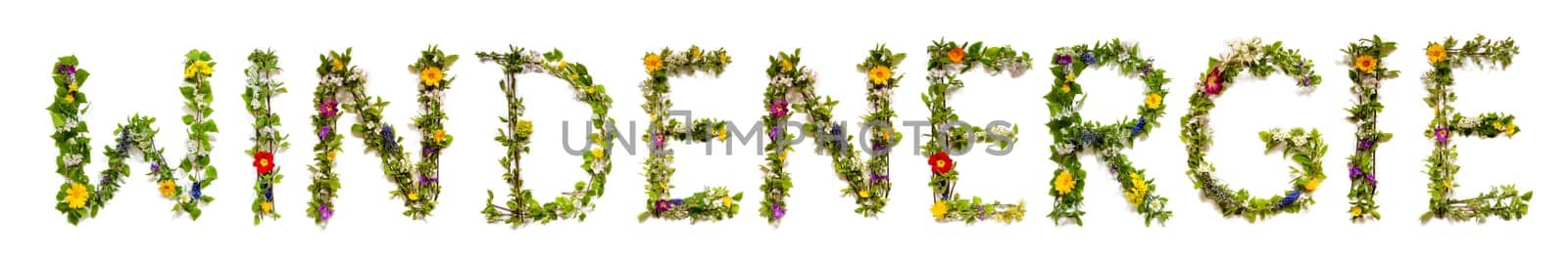 Blooming Flower Letters Building German Word Windenergie Means Wind Energy. Summer And Spring Season Blossoms And Flower Lei.