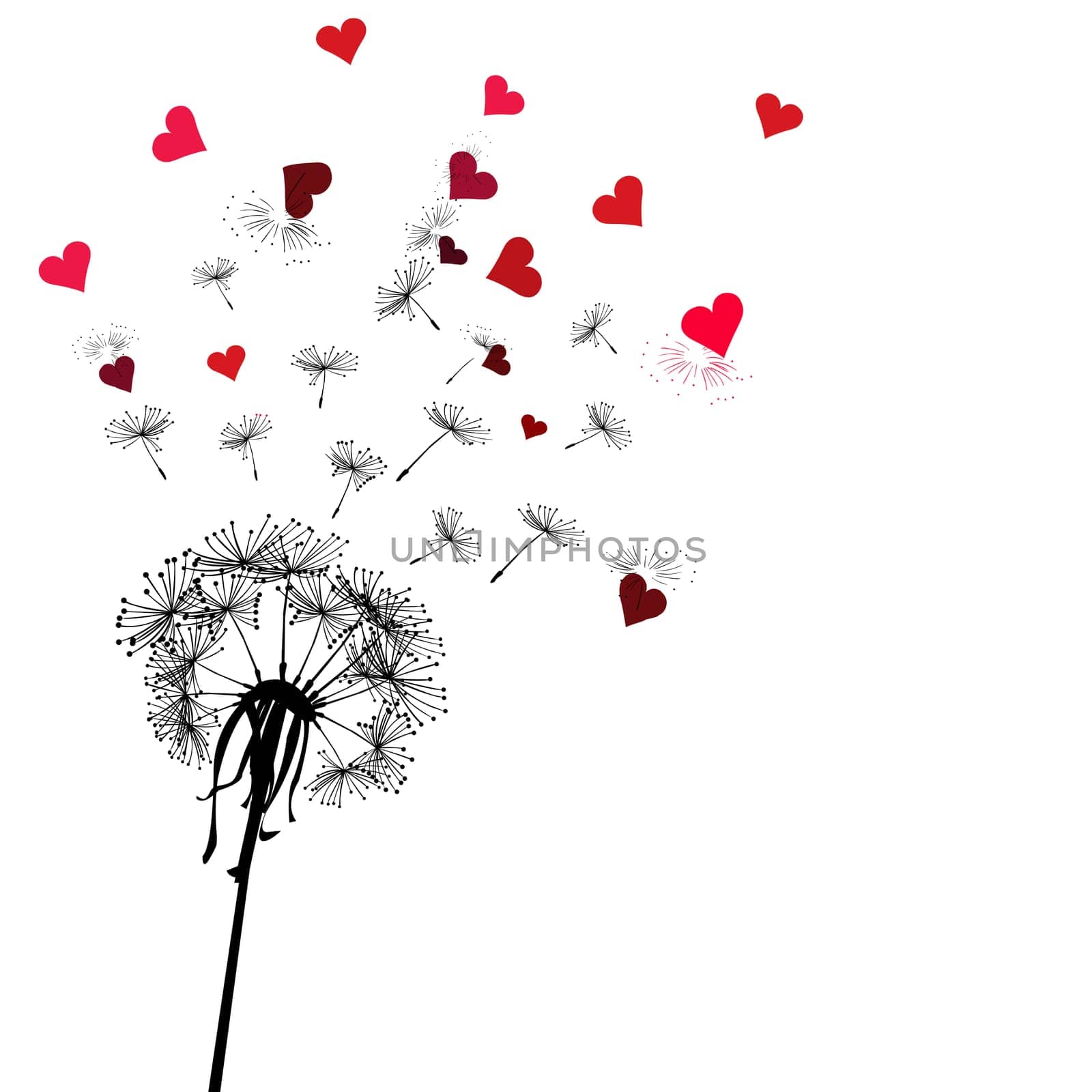 Dandelion with seeds that fly and turn into hearts