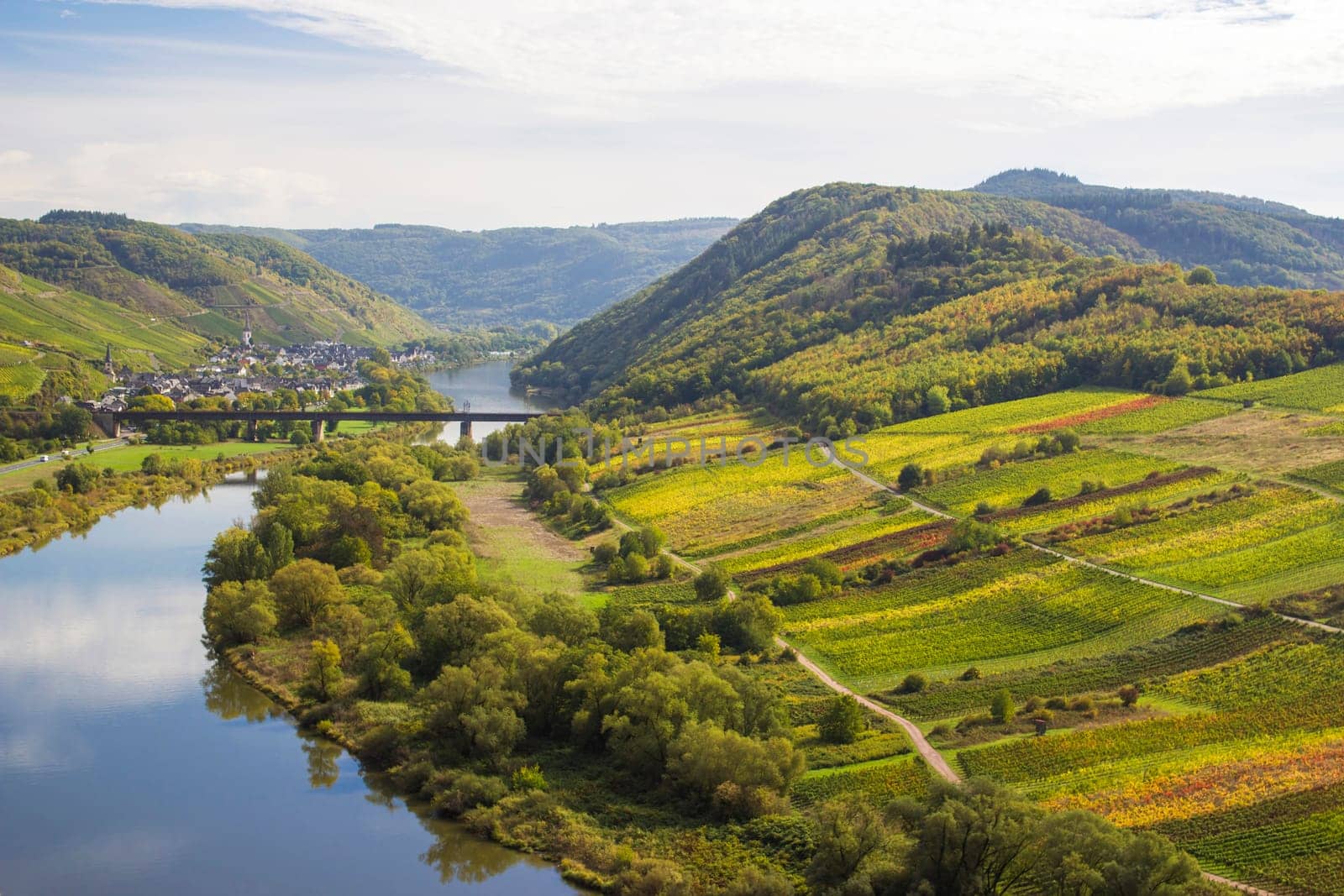Moselle River in Germany, view of Calmont village and vineyards in the Mosel river valley, Germany