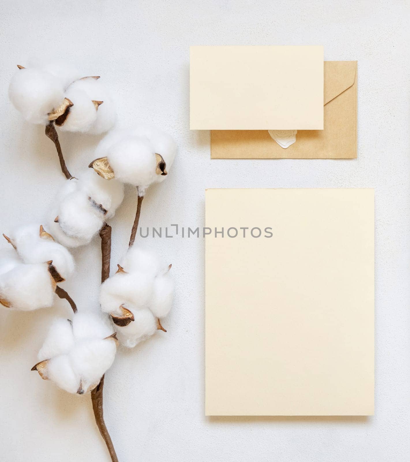 Blank cards and envelope with cotton flowers top view on white, mockup. Romantic scene with wedding suite. Bohemian pastel greeting or wedding set