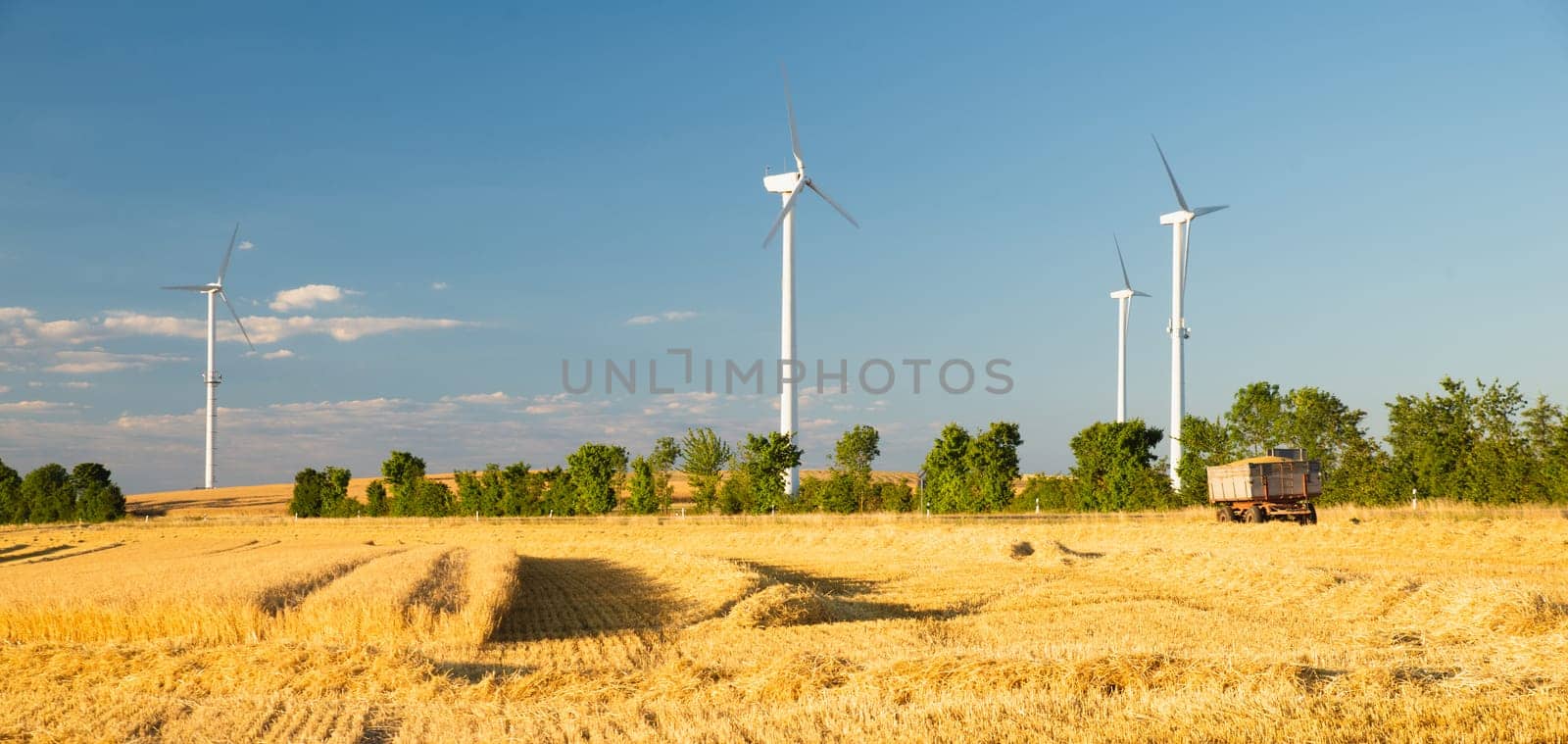 Windmills in a wheat field, renewable sustainable energy, electricity generator, environmental conversation