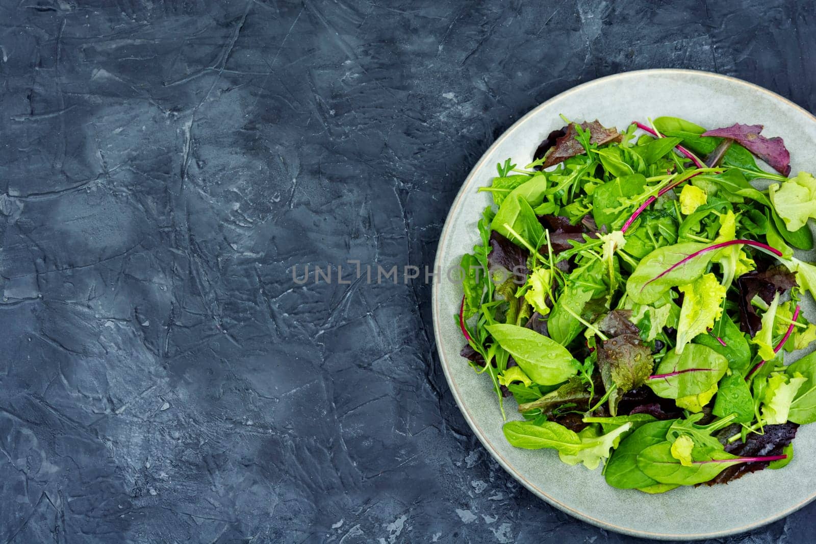 Green fresh salad with arugula, spinach, purple lettuce and chard. Fresh spring salad.