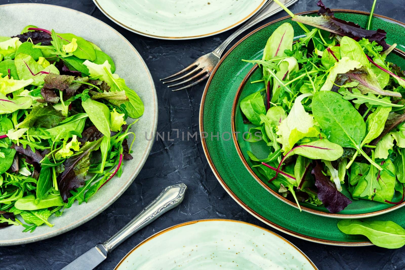 Green fresh salad with arugula, spinach, purple lettuce and chard. Fresh spring salad.