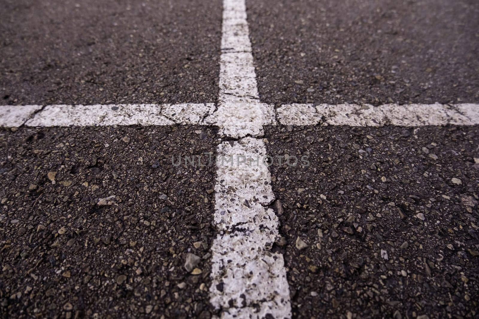 Detail of information lines on the asphalt