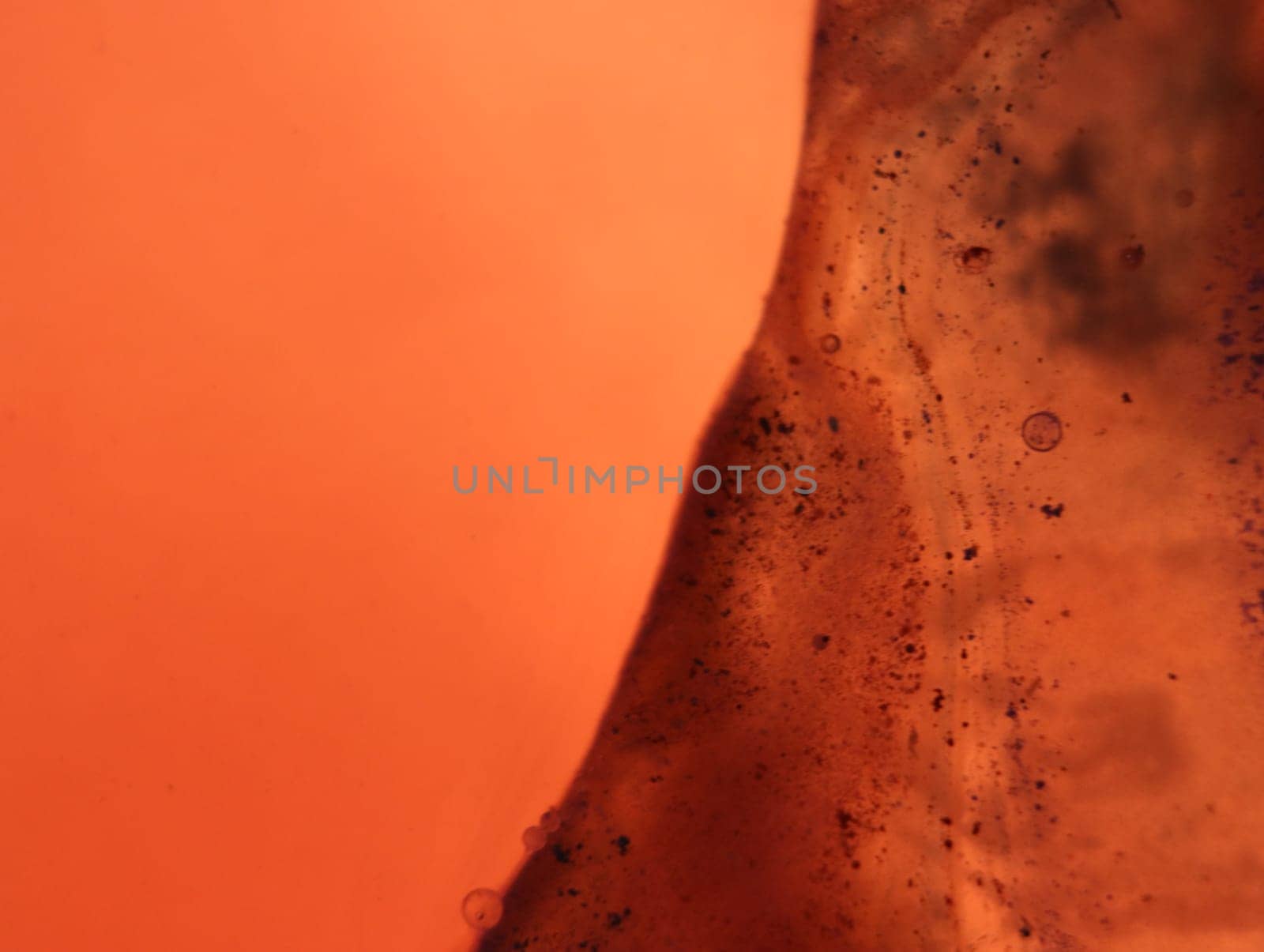 abstract background fantasy illusion rarity imagination virus bacteria sensation