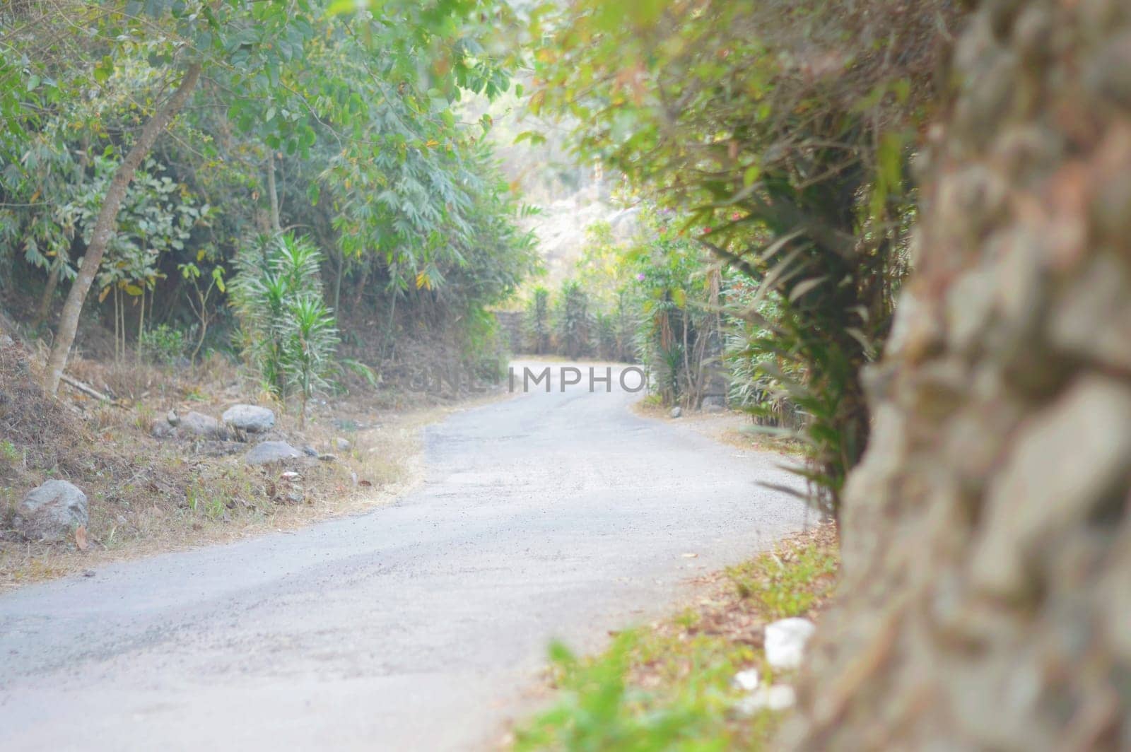 A beautiful asphalt road leading through with blur stone walls in the foreground. Diminishing Perspective. Travel Holiday backgrounds. Copy Space for text.