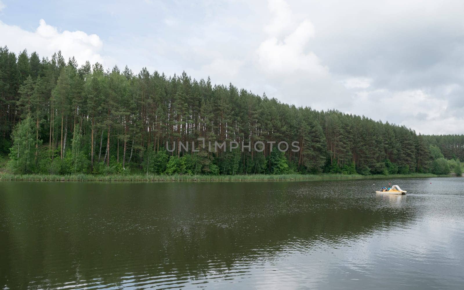 Forest on the lake (pond), in which the floating water bike