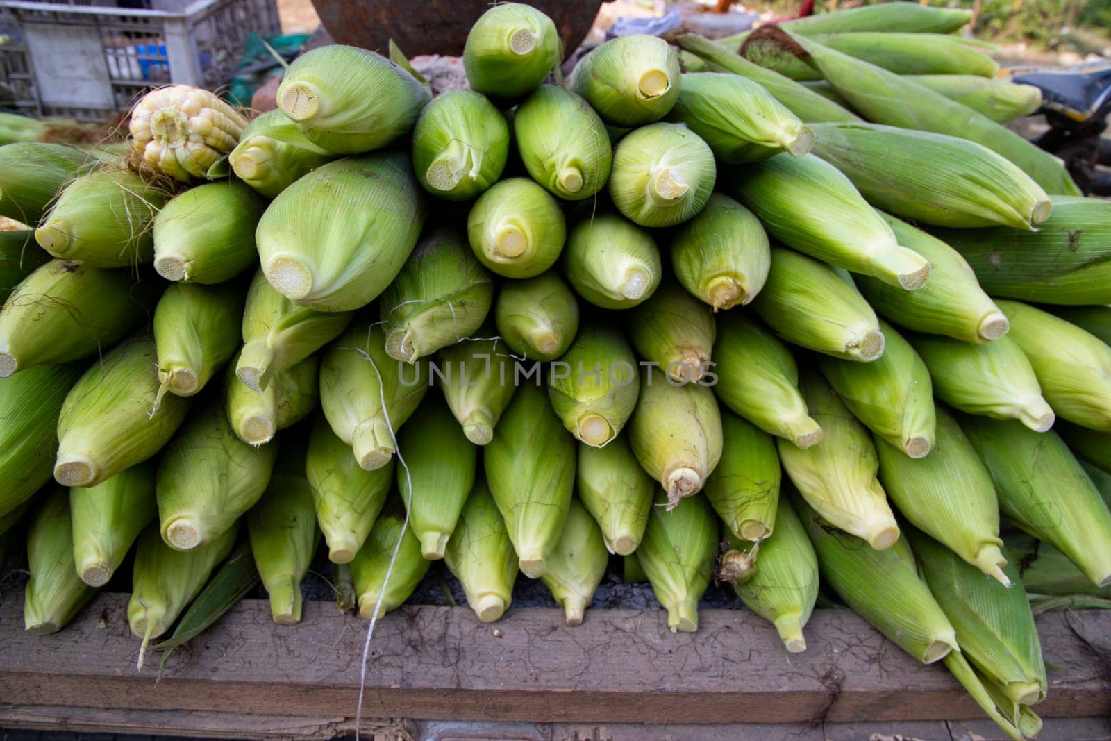 Fresh corn cob and green leaves' background texture
