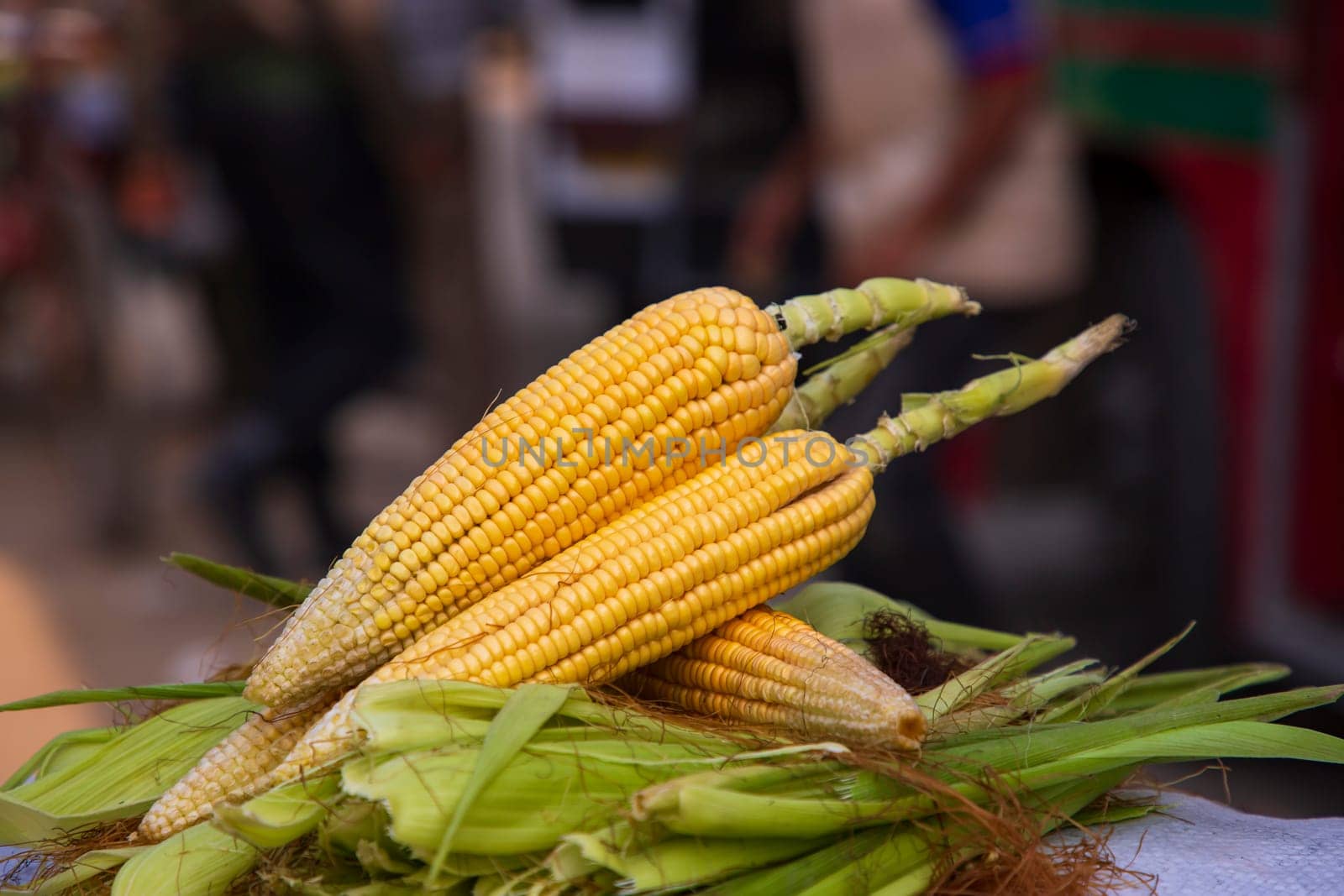 ripe yellow corn cob and green leaves  with Shallow depth of field