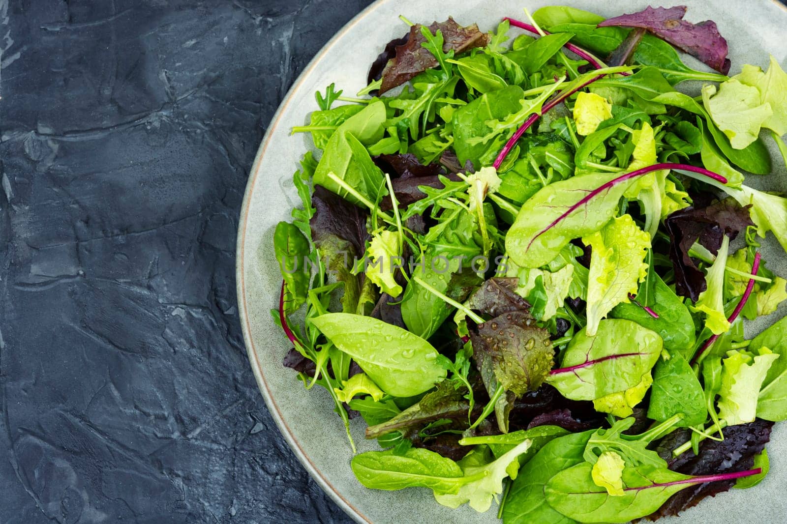 Mix of fresh light salad leaves on the plate. Green food. Food background