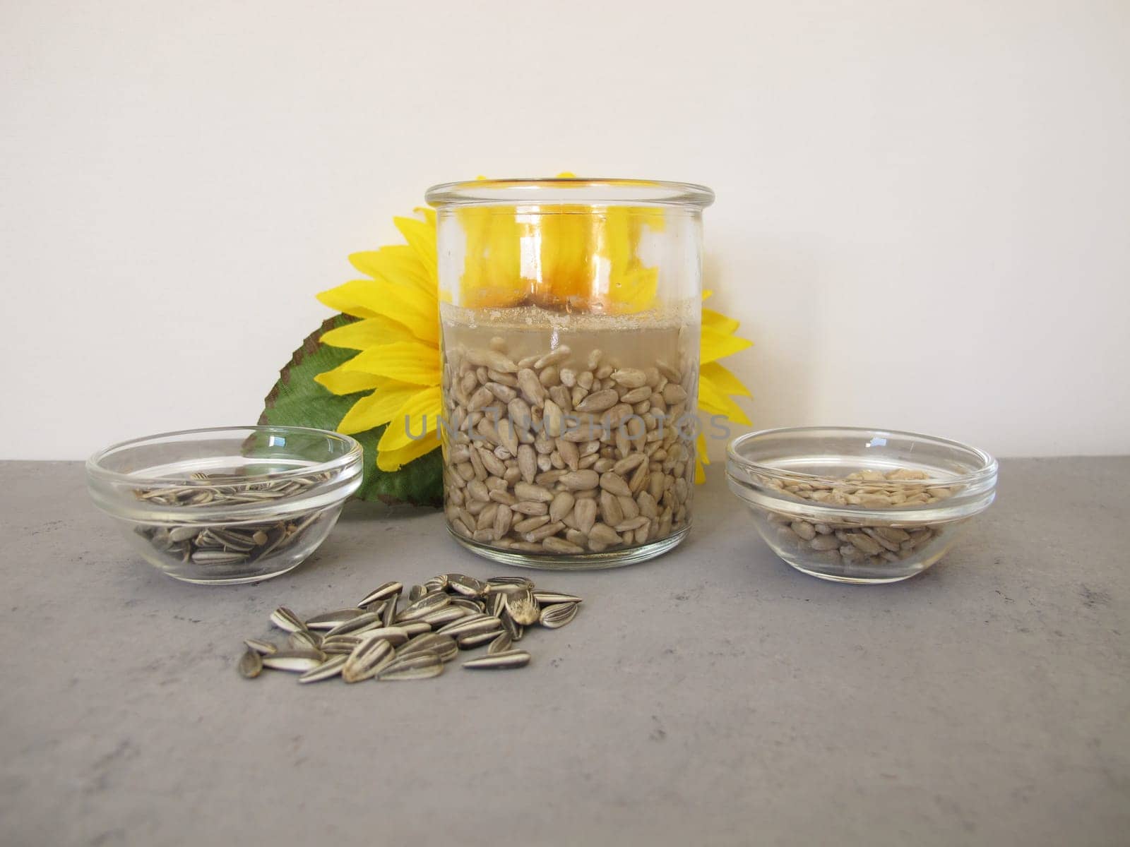 Soaked sunflower seeds, seeds from sunflowers in water