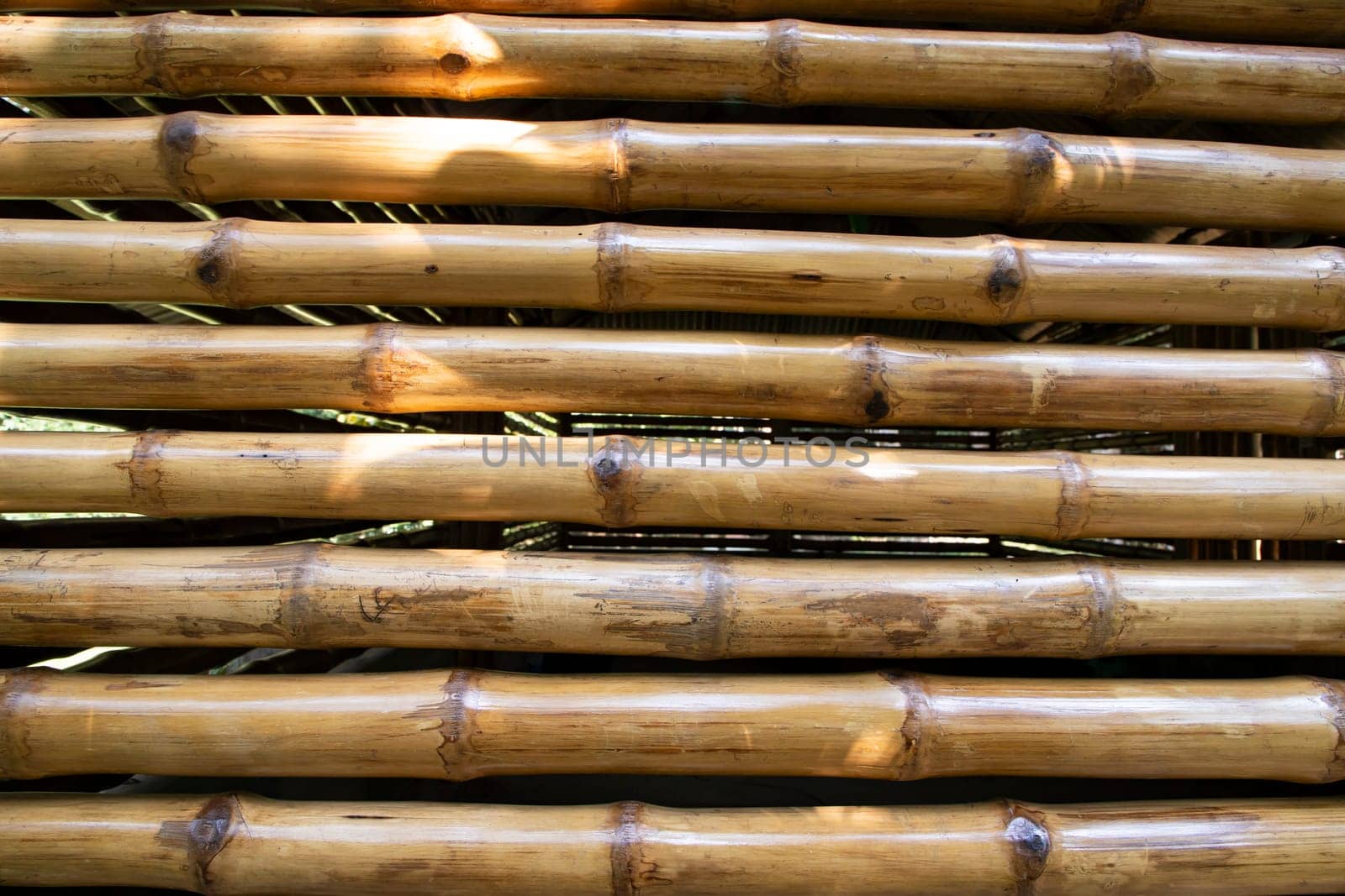 Varnish bamboo fence abstract background texture