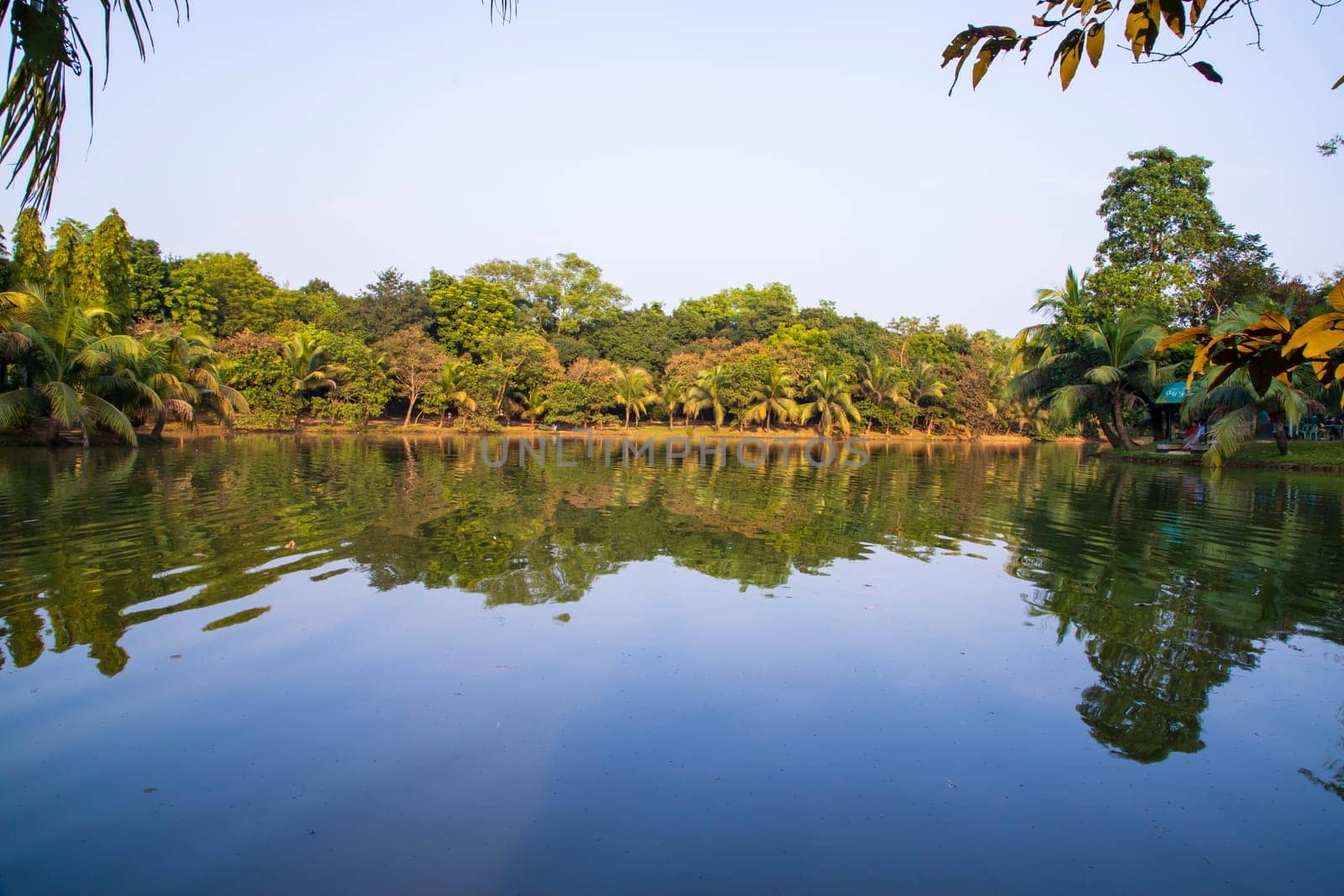 Natural landscape view Reflection of trees in the lake water against blue sky