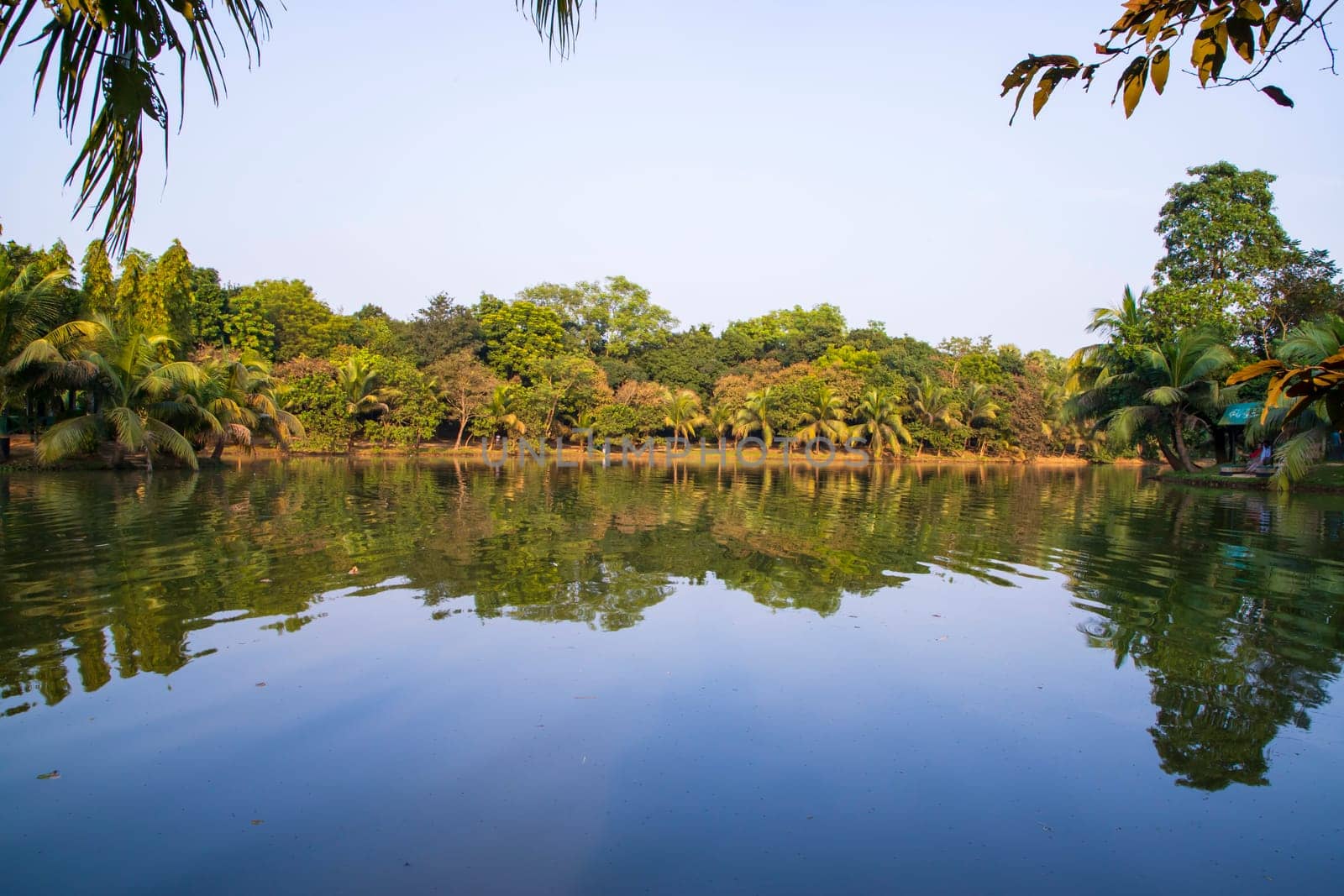 Natural landscape view Reflection of trees in the lake water against blue sky