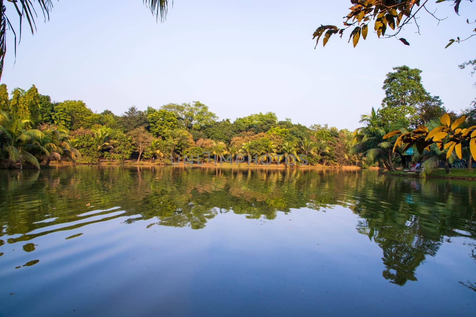 Natural landscape view Reflection of trees in the lake water against blue sky