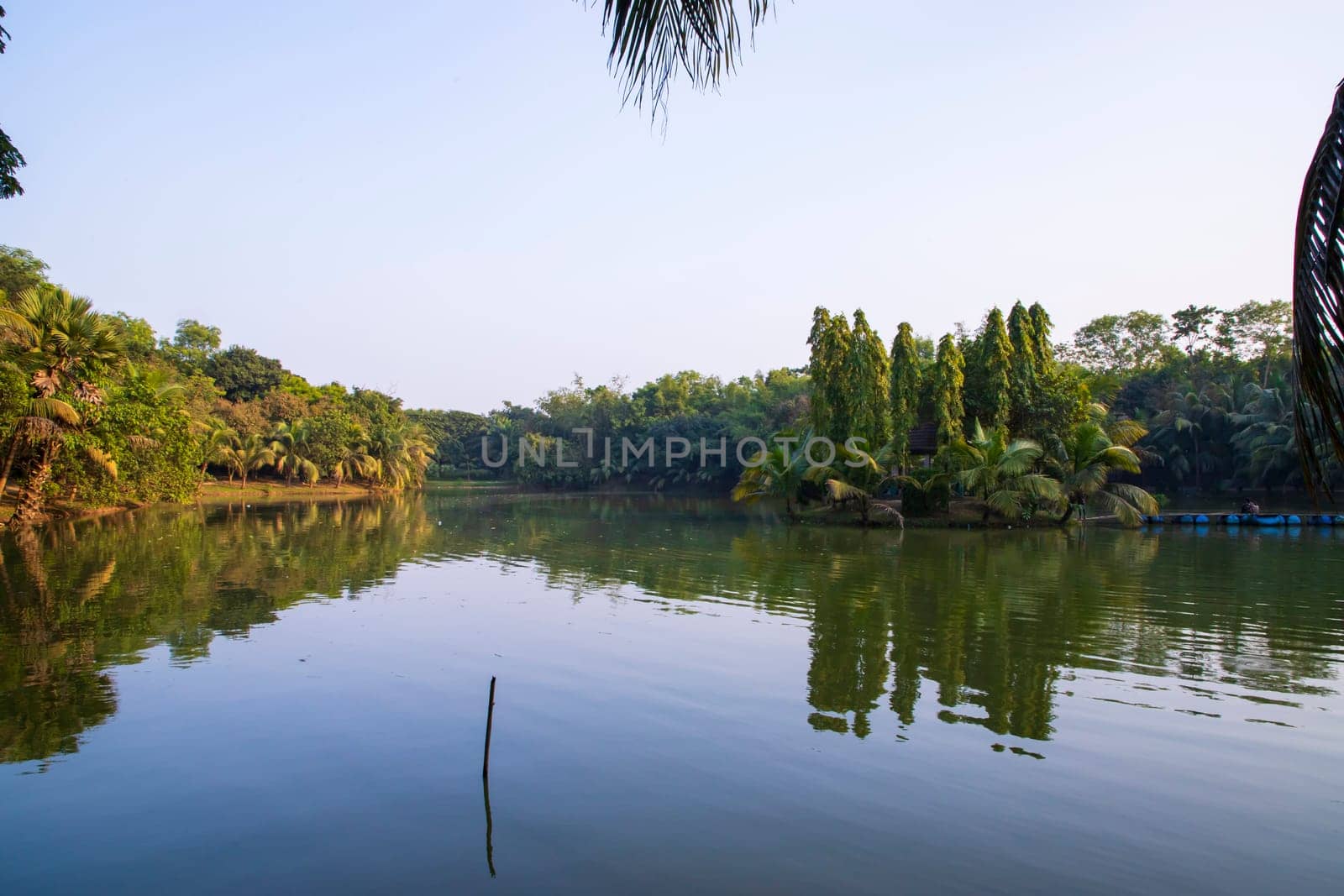 Natural landscape view Reflection of trees in the lake water against blue sky