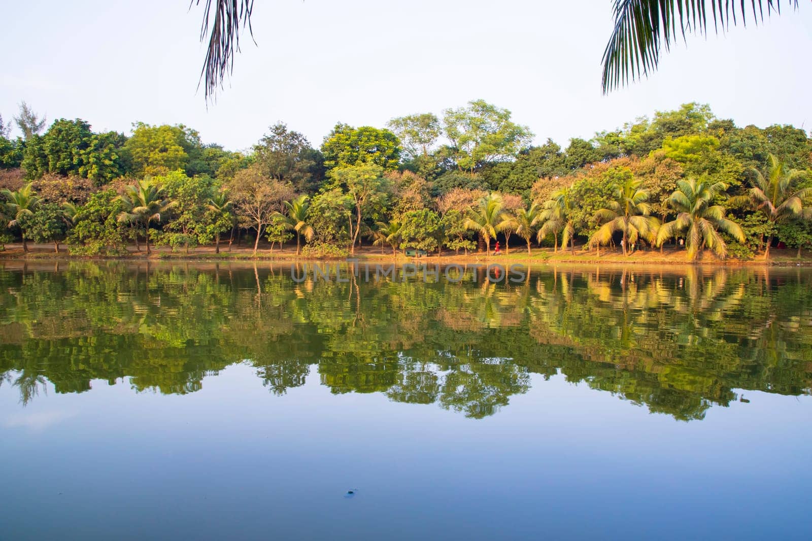 Natural landscape view Reflection of trees in the lake water against blue sky