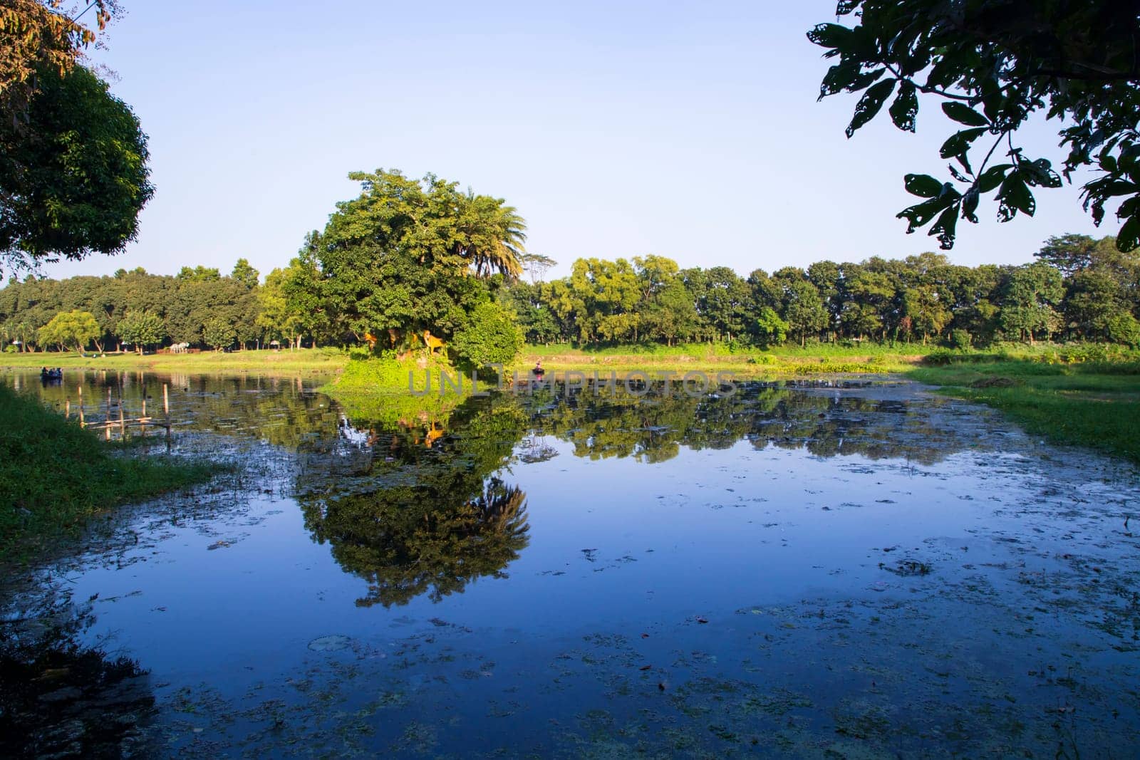 Natural landscape view Reflection of trees in the lake water against blue sky