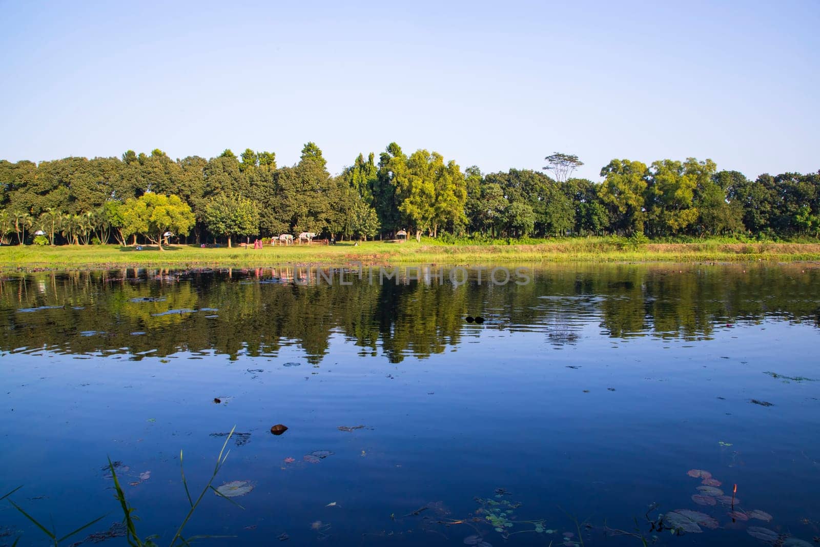Natural landscape view Reflection of trees in the lake water against blue sky