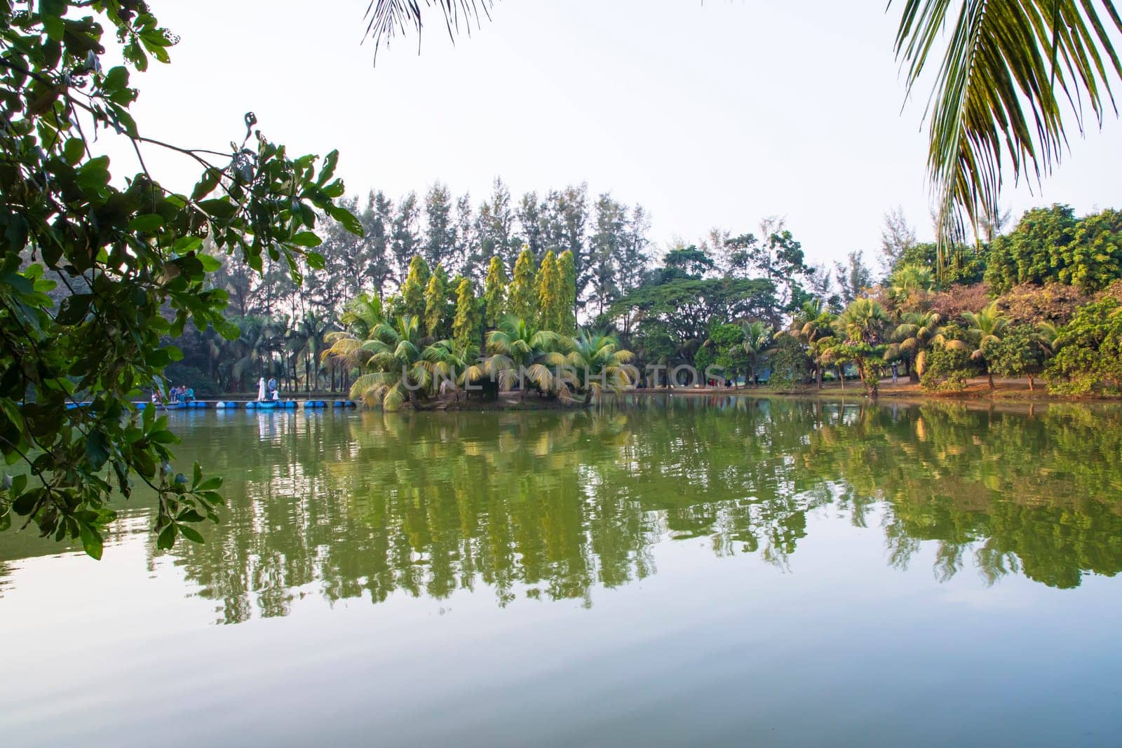 Natural landscape view Reflection of trees in the lake water against blue sky