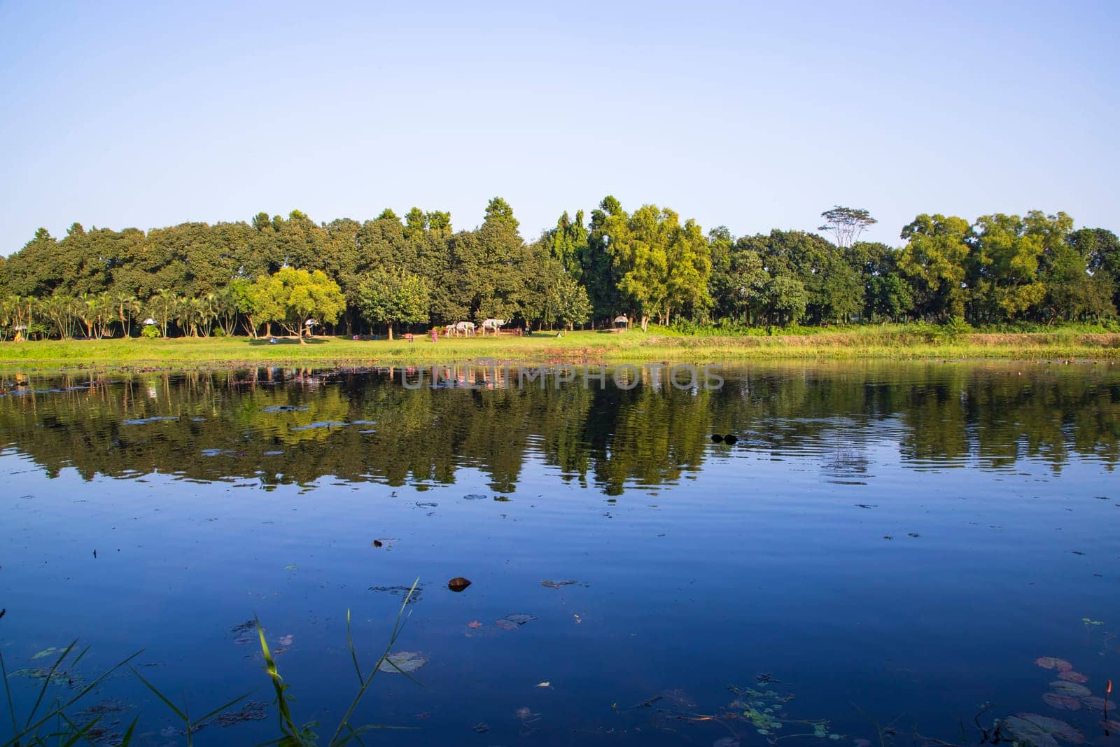 Natural landscape view Reflection of trees in the lake water against blue sky