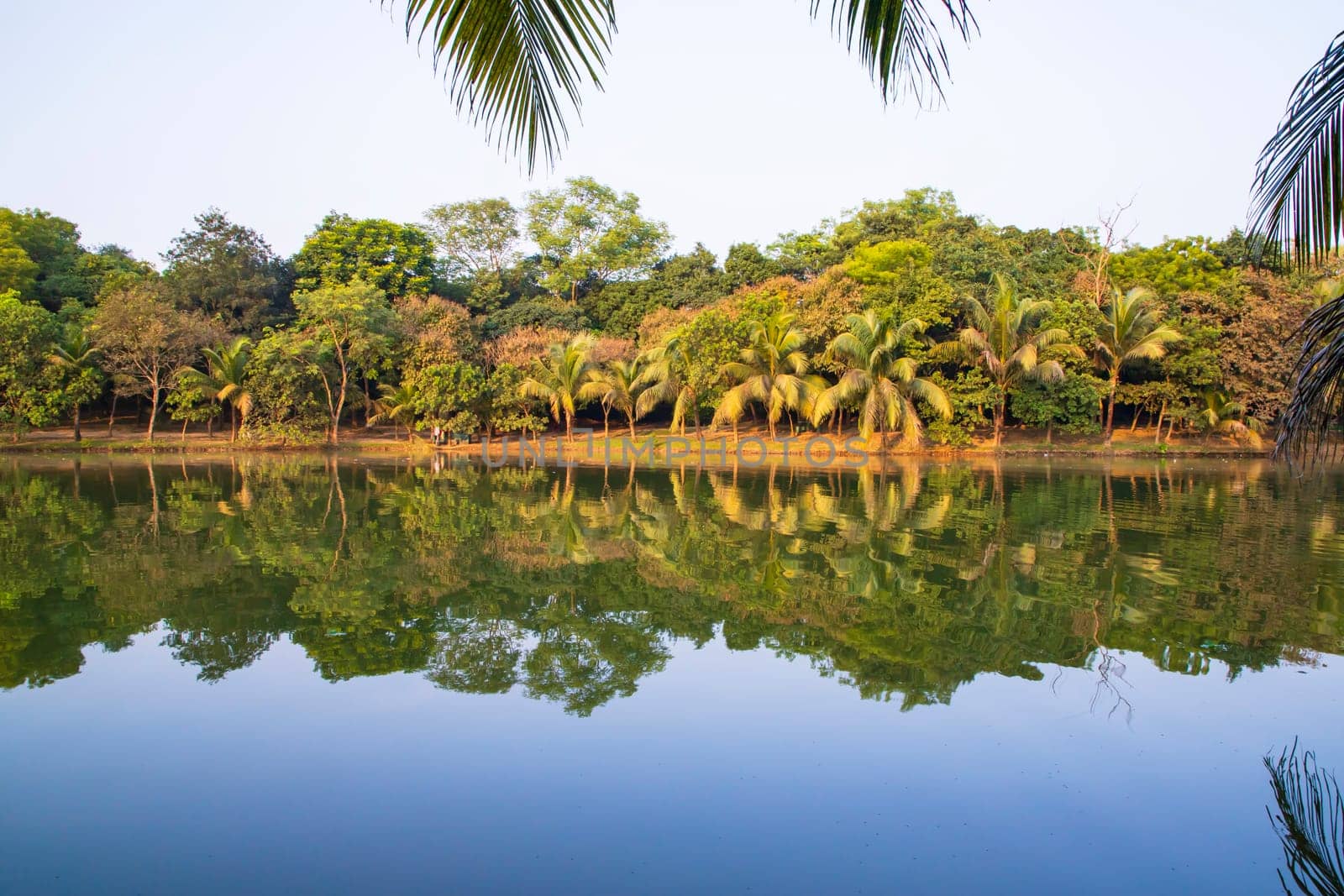 Natural landscape view Reflection of trees in the lake water against blue sky