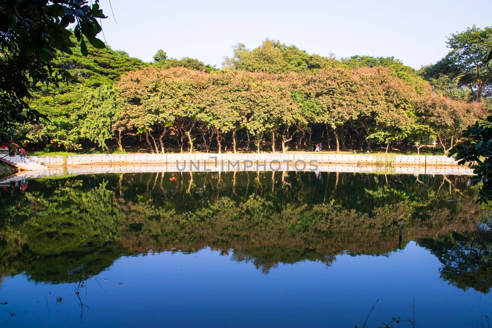 Natural landscape view Reflection of trees in the lake water against blue sky
