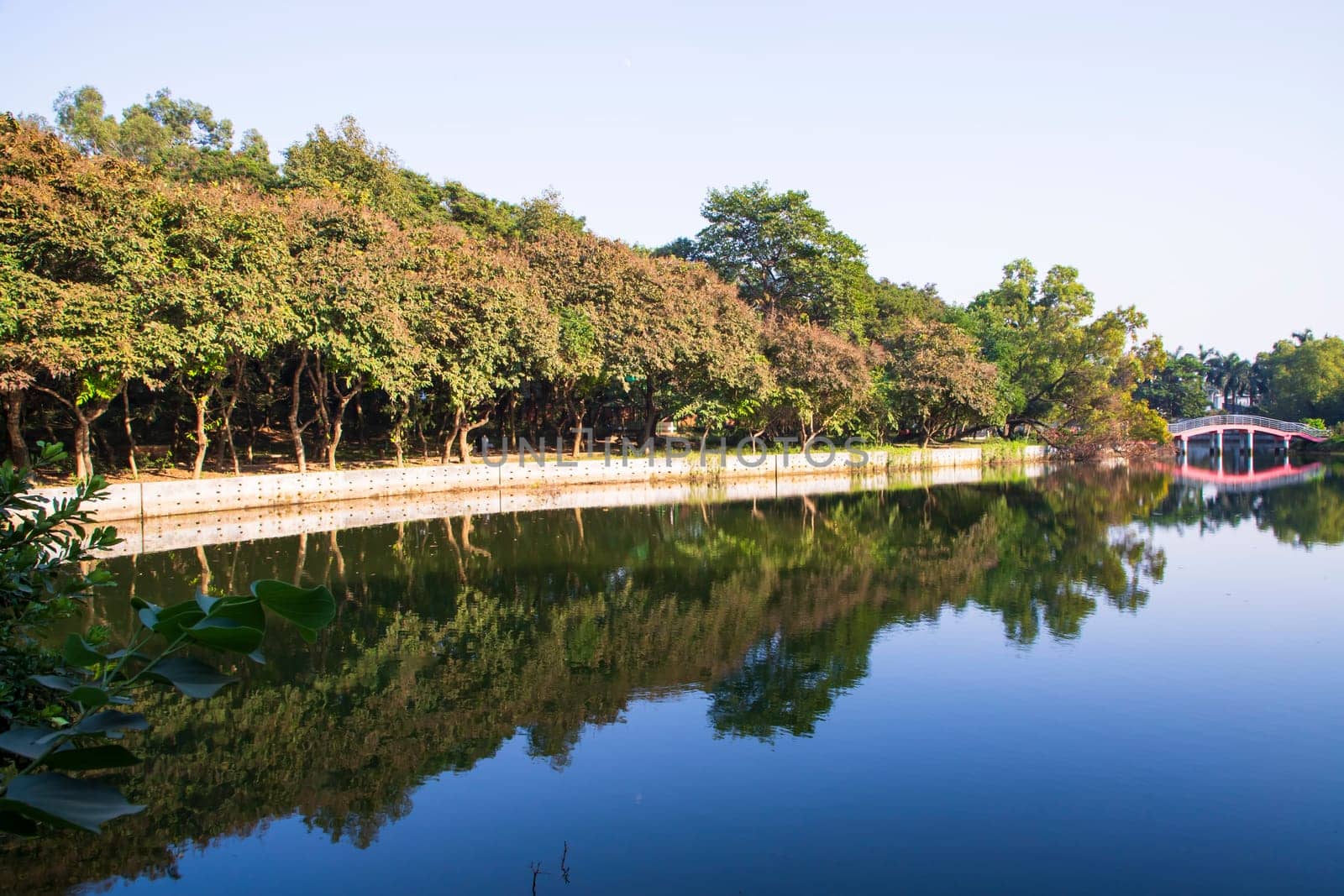 Natural landscape view Reflection of trees in the lake water against blue sky