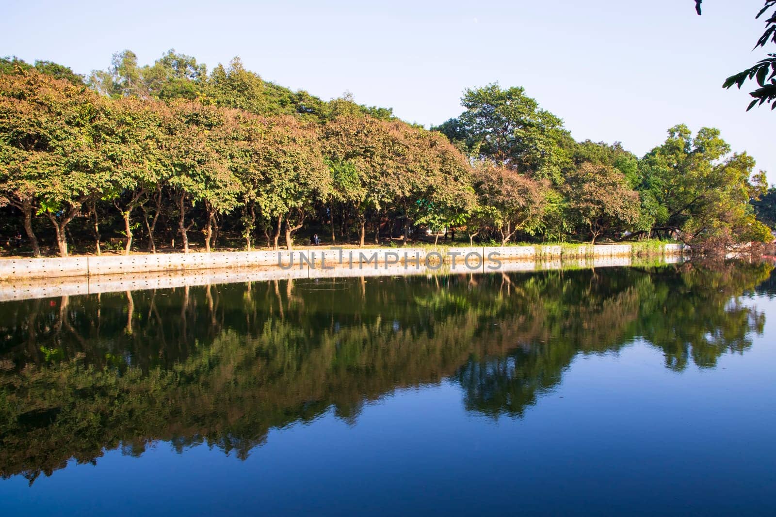 Natural landscape view Reflection of trees in the lake water against blue sky