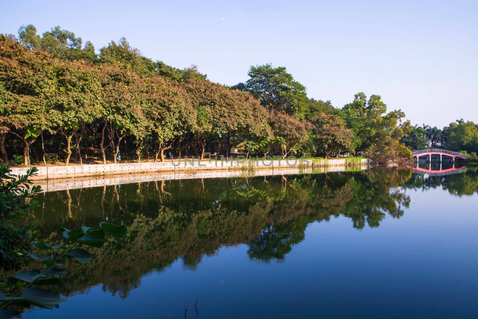 Natural landscape view Reflection of trees in the lake water against blue sky