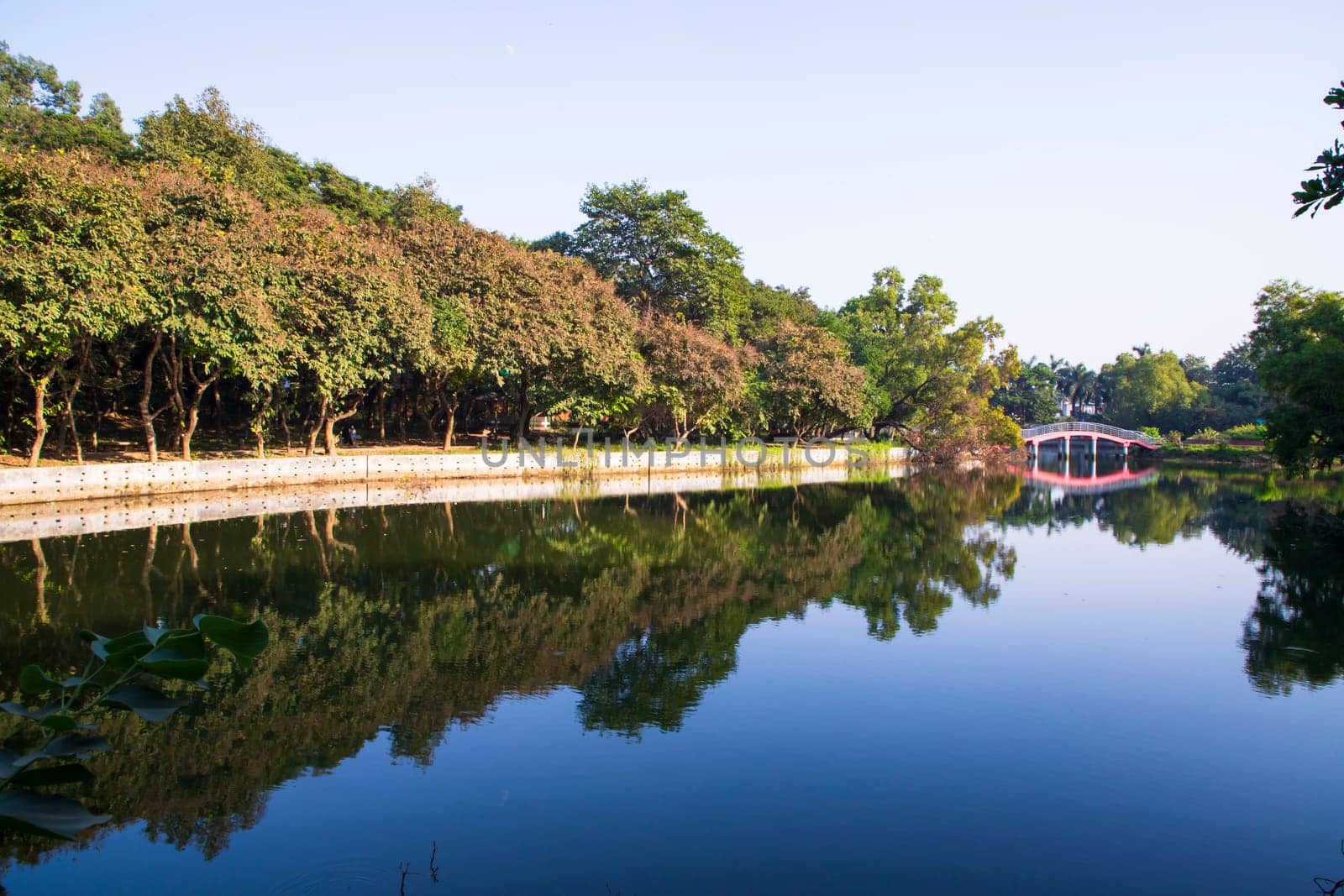 Natural landscape view Reflection of trees in the lake water against blue sky