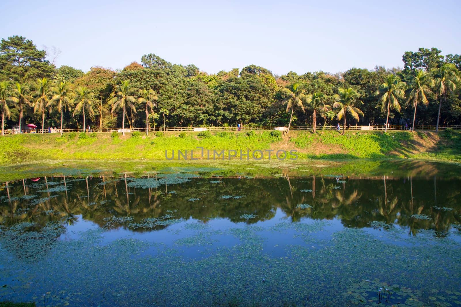 Natural landscape view Reflection of trees in the lake water against blue sky