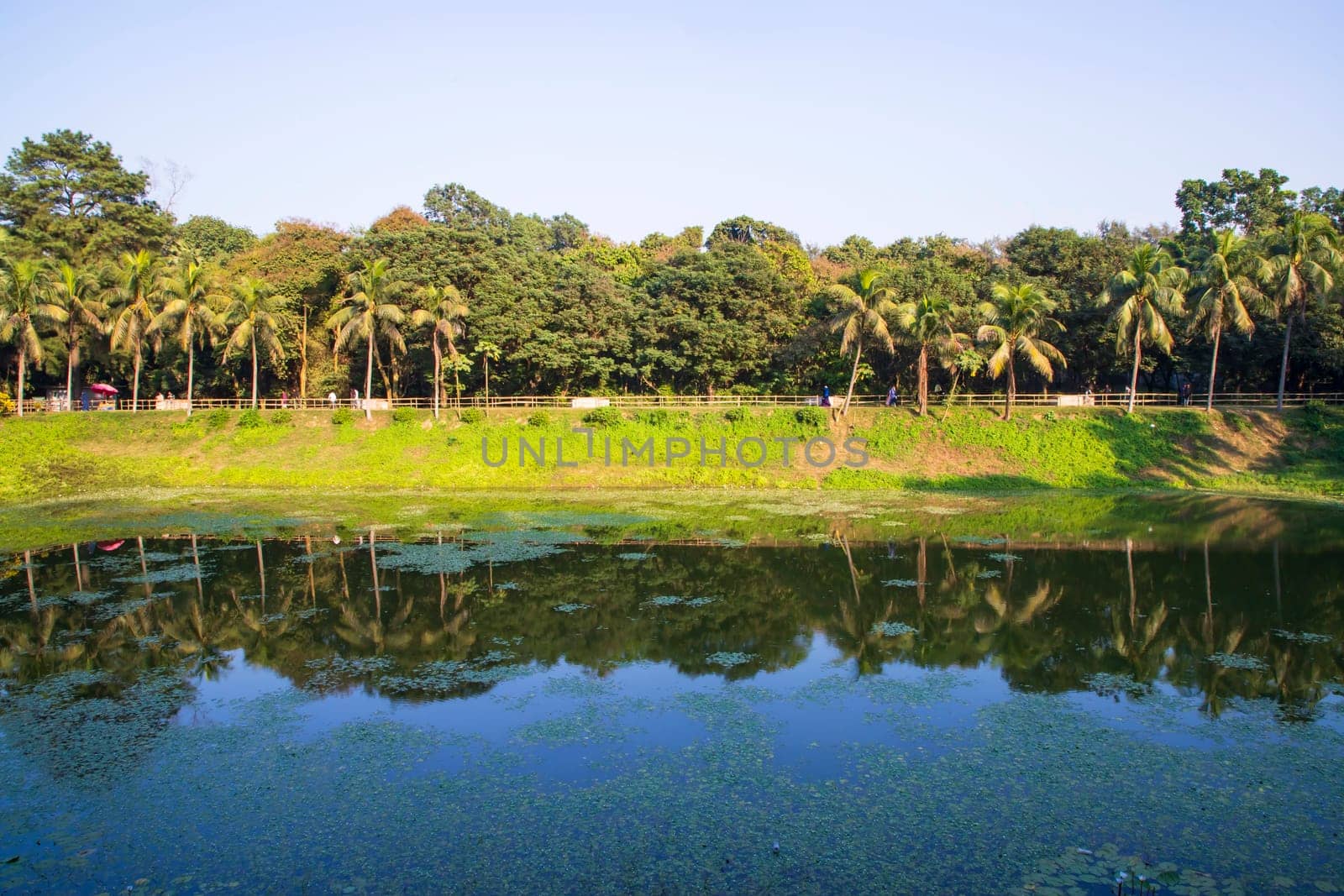 Natural landscape view Reflection of trees in the lake water against blue sky