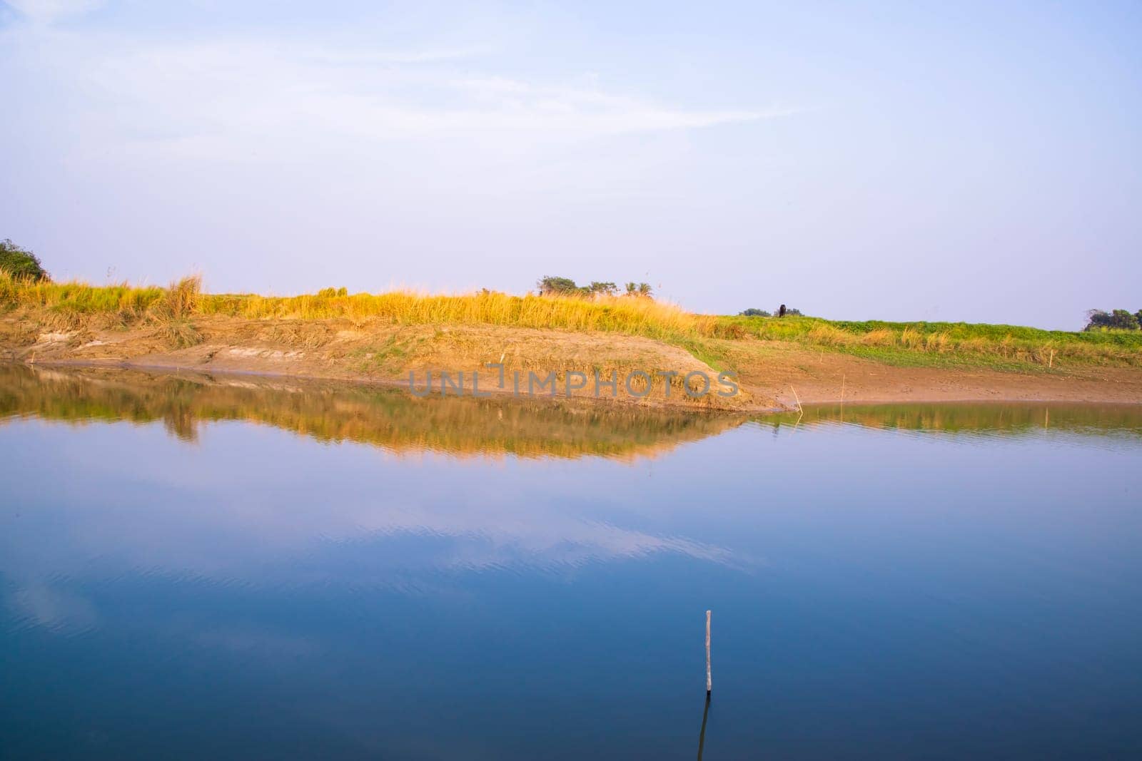 Canal with green grass and vegetation reflected in the water nearby Padma river in Bangladesh