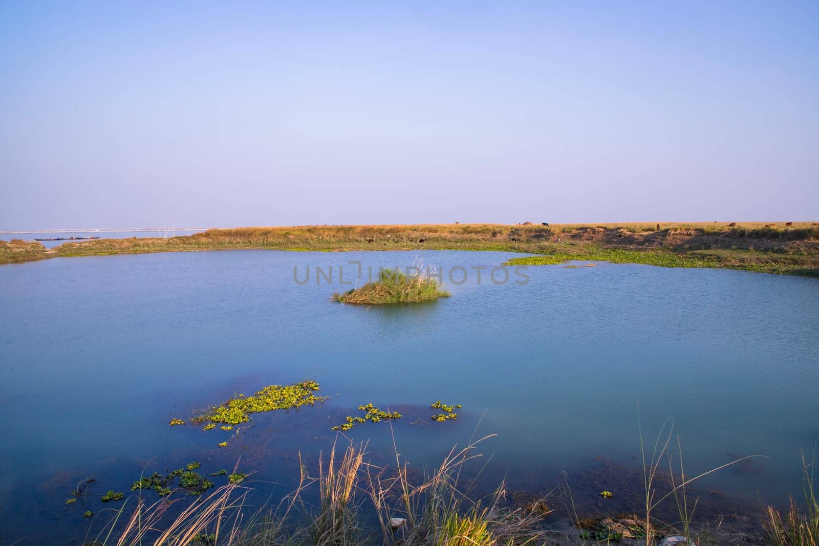 Crystal clear blue water lake landscape view nearby Padma river in Bangladesh