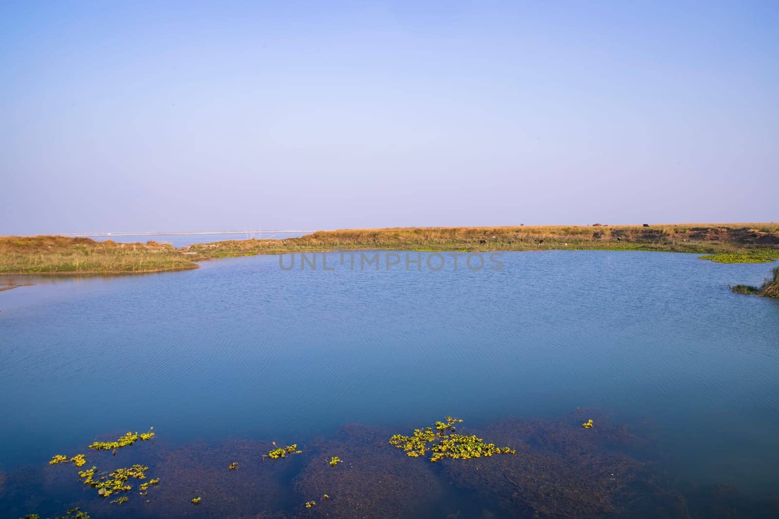 Crystal clear blue water lake landscape view nearby Padma river in Bangladesh
