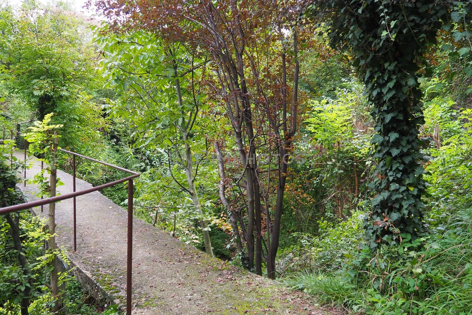 Banja Koviljacha, Serbia, Loznica, Mount Guchevo. An old narrow concrete bridge across a mountain river with a metal fence. Thickets of bushes, ivy, vines, trees around the bridge. Walk in nature