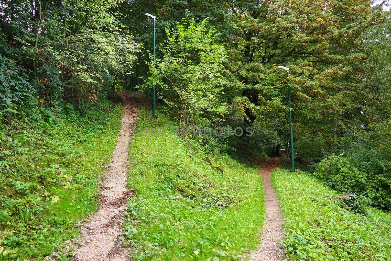 Banja Koviljaca, Loznica, Serbia. Mount Guchevo, park and forest, forest terraces. Withered leaves in September. Paths and paths for hiking. Calm ecological rest for recovery. Mixed European forest.