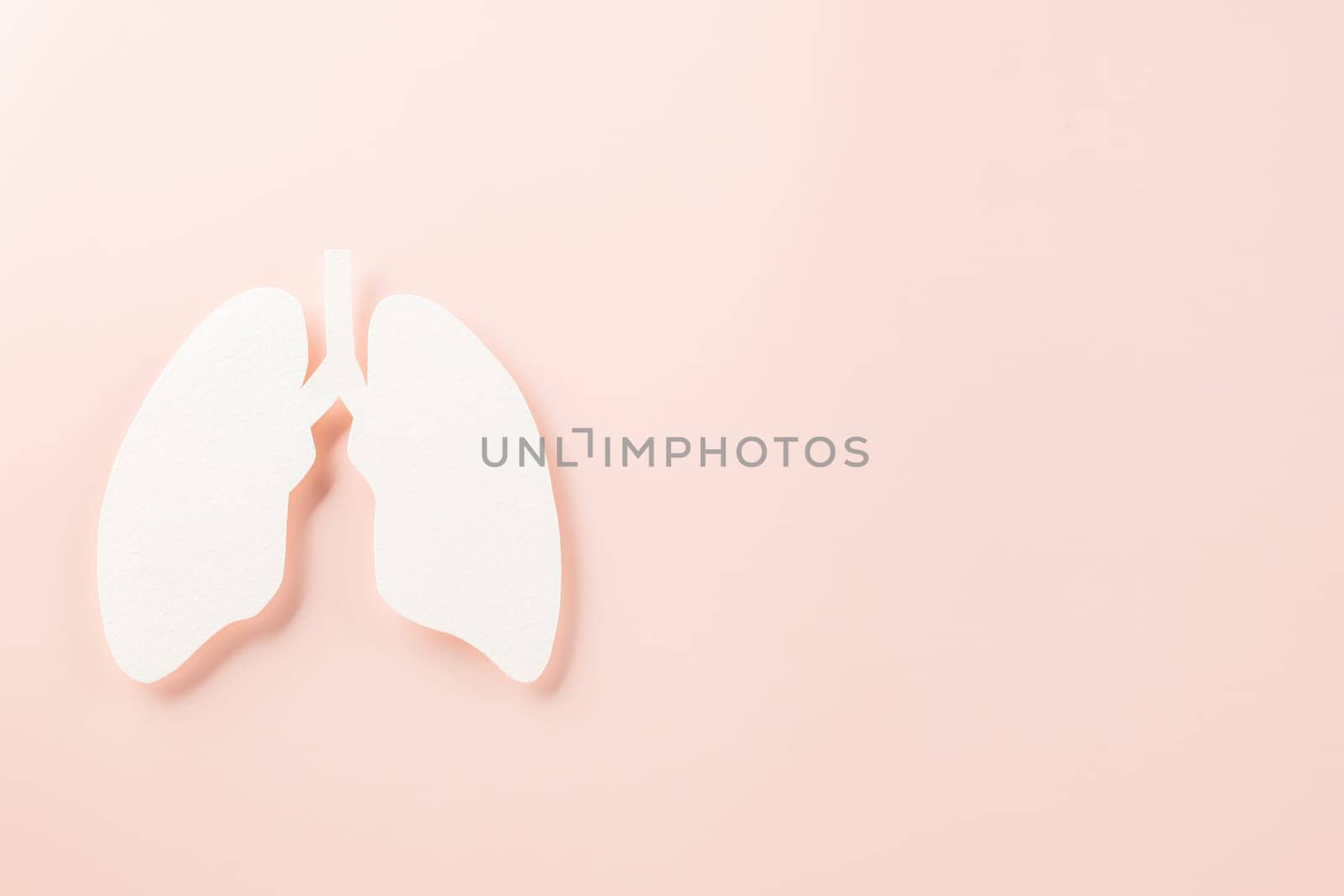 World tuberculosis day. Top view Lungs paper decorative symbol on pink background, copy space, concept of world TB day, no tobacco, Medical and healthcare, lung cancer awareness, 24 March