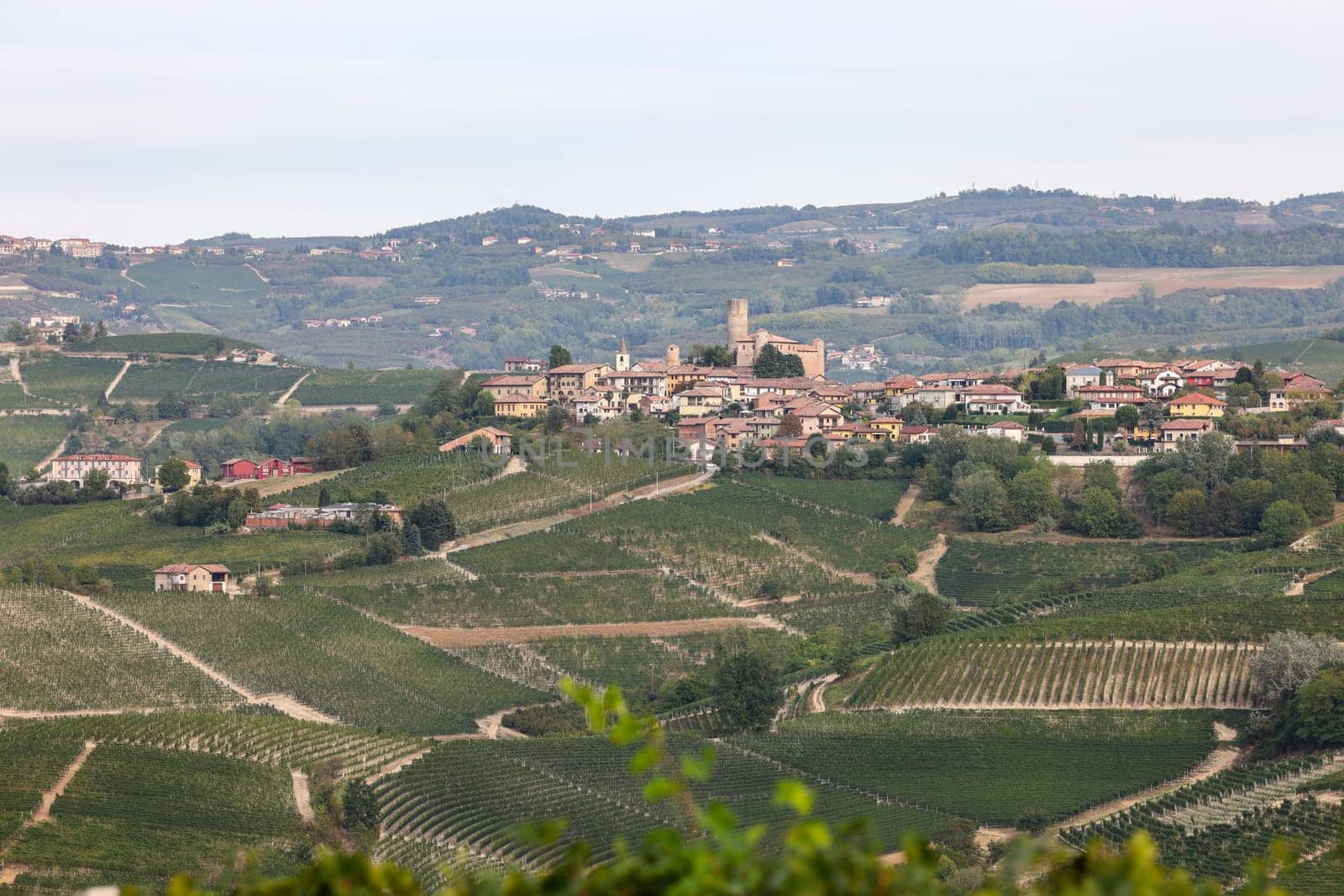Langhe vineyards near Serralunga d'Alba. Unesco Site, Piedmont, Italy