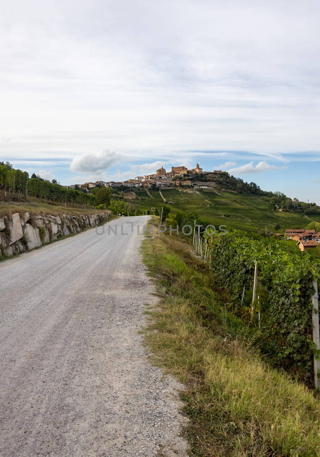 Langhe vineyards near Barolo and La Morra, Unesco Site, Piedmont, Italy