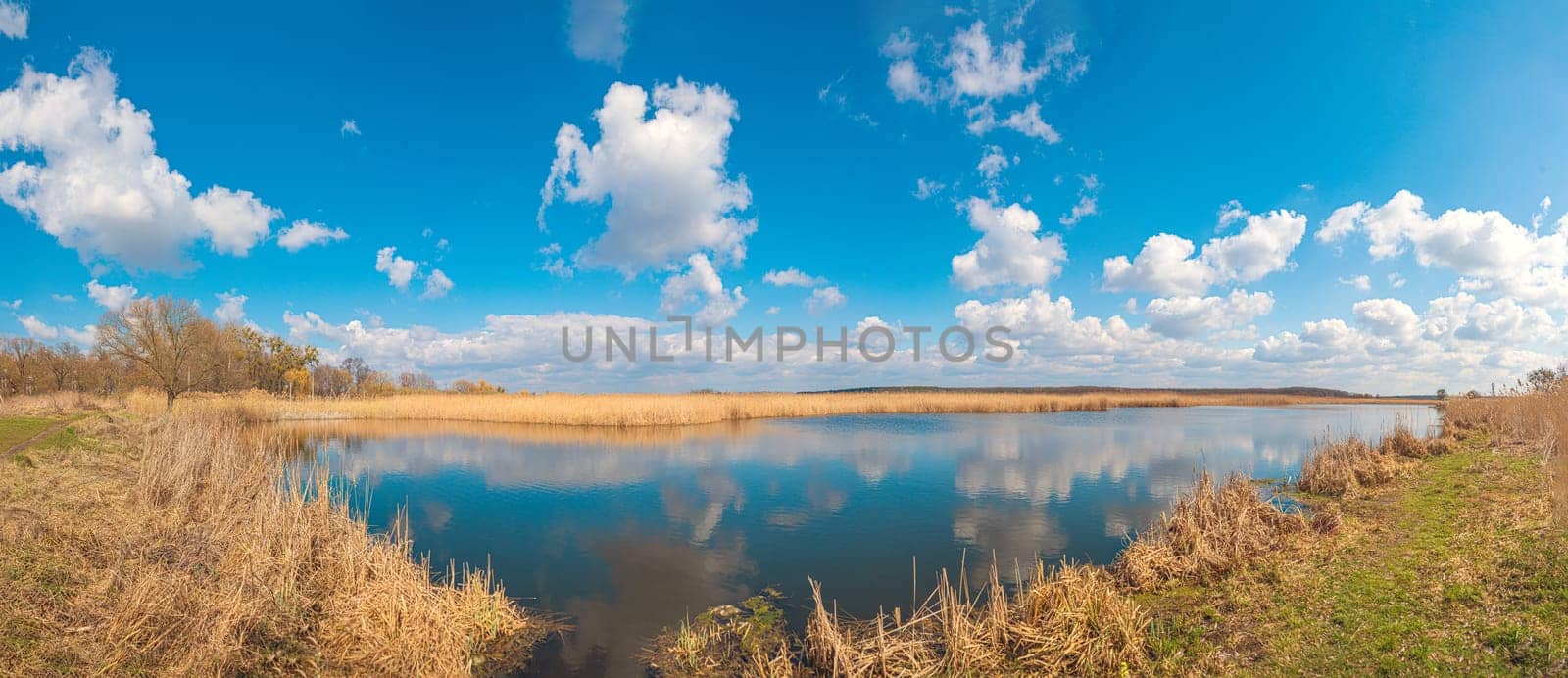 Yellow brushwood and reeds near the blue water of the lake under the blue sky with clouds, the Guiva river in Andrushivka, Ukraine