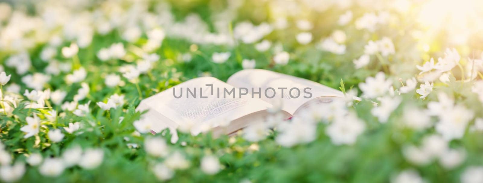 Open book lying on the blossoming field in natural park. Concept of hobby and knowledges.
