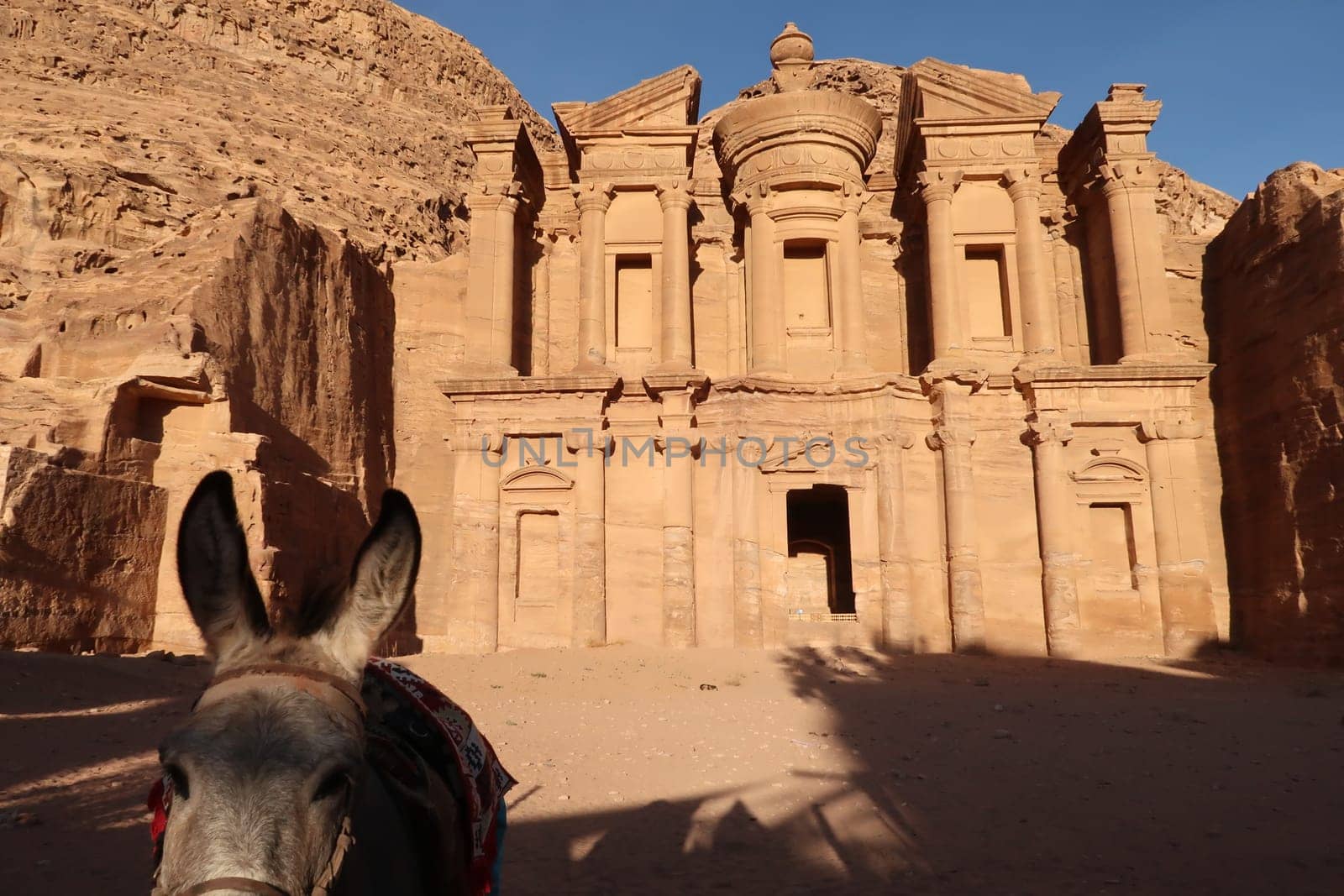 Donkey in front of the Monastery, Ad Deir, Ad-Dayr, el-Deir, Petra, Jordan 2021