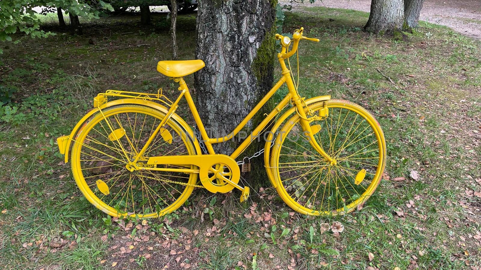 Colorful bicycles,also called ghost wheels,often stand on the roadside as a memorial wheel or as a work of art somewhere in nature. Colorful bicycles,also known as ghost bikes,are often found on the side of the road as a reminder wheel or as a work of art somewhere in nature.