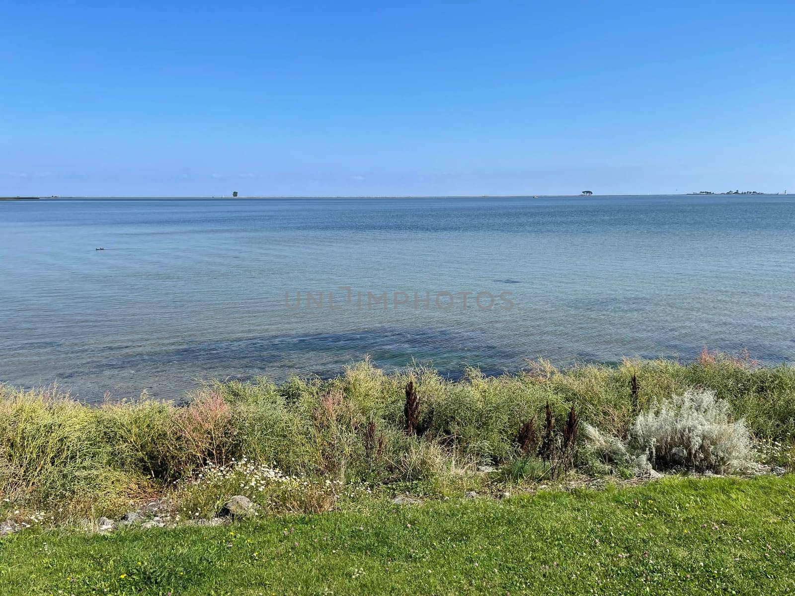 Maasdam on the Baltic Sea is a tranquil seaside resort with a small harbour. Maasdam on the Baltic Sea is a tranquil seaside resort with a small harbour