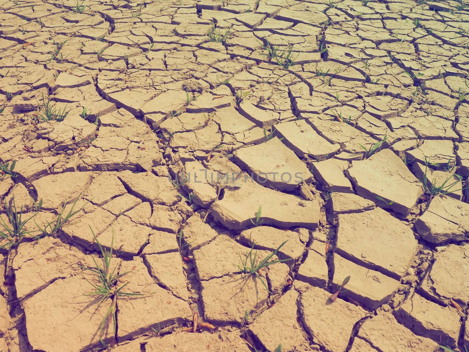 Deep cracks in the land as a symbol of hot climate and drought. Desert and cracked ground. Uneven, swollen ground. Emptiness and death. Ecological and natural theme