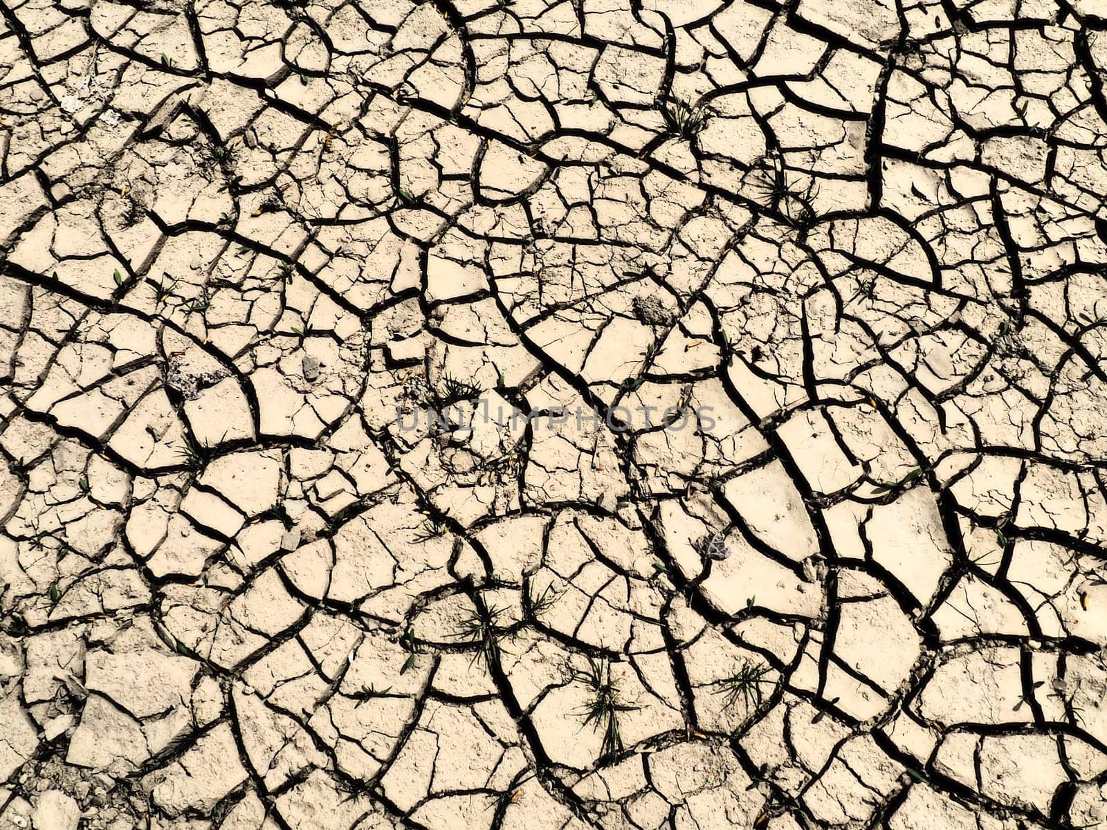 Deep cracks in the land as a symbol of hot climate and drought. Desert and cracked ground. Uneven, swollen ground. Emptiness and death. Ecological and natural theme