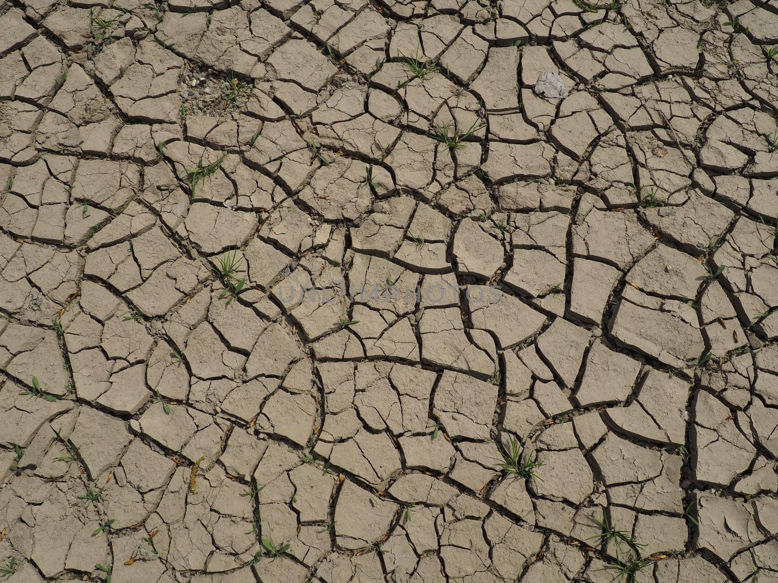 Deep cracks in the land as a symbol of hot climate and drought. Desert and cracked ground. Uneven, swollen ground. Emptiness and death. Ecological and natural theme
